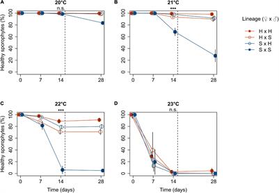 Increased Heat Resilience of Intraspecific Outbred Compared to Inbred Lineages in the Kelp Laminaria digitata: Physiology and Transcriptomics